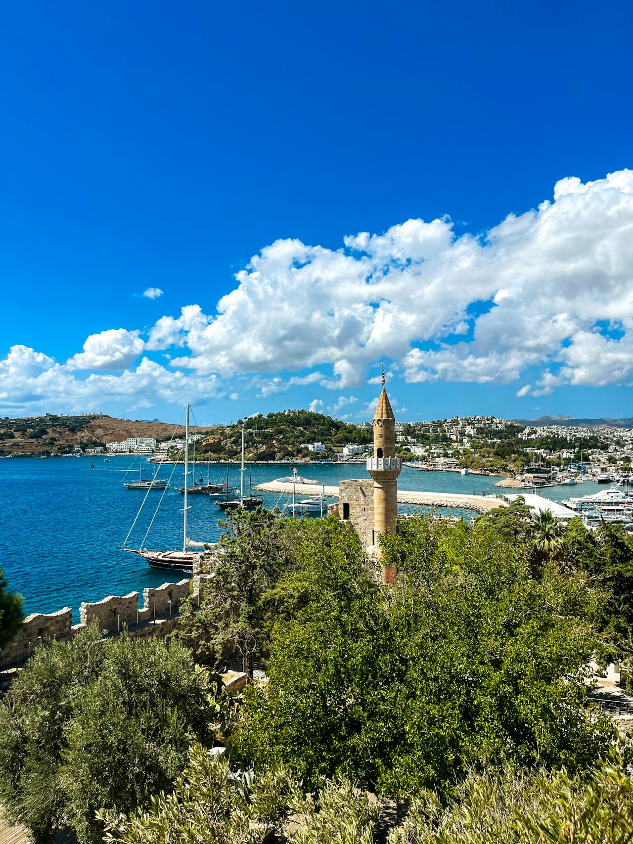 pexels-lensloji-264847388-28406858