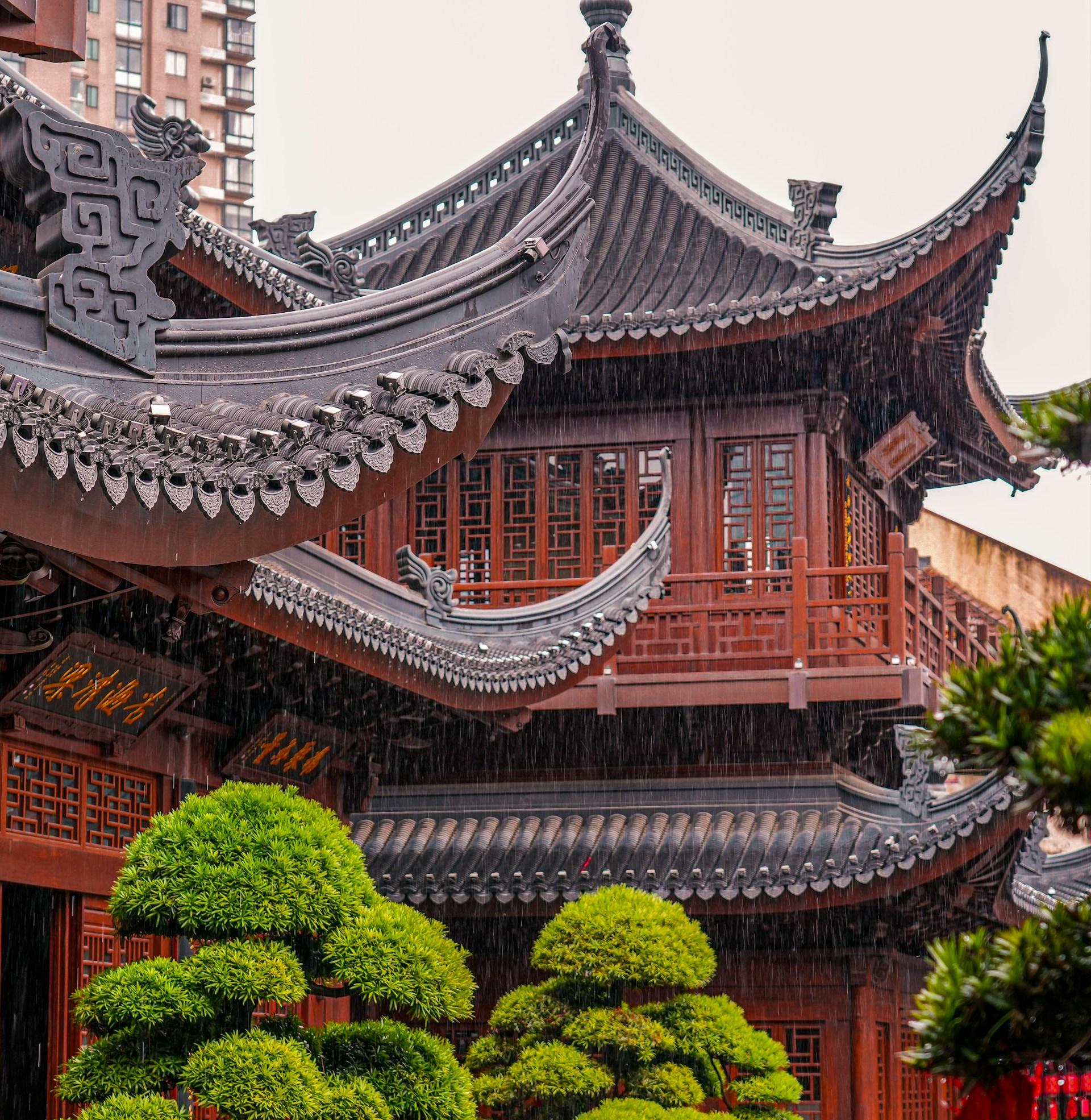 prashant-moorthy-Zb8J-1wEwUU-unsplash