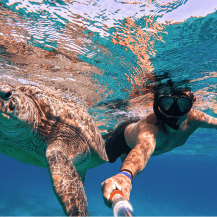 Шнорхелинг в Червено море, Египет с костенурка